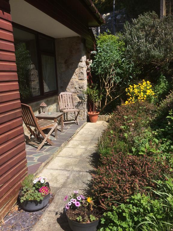 Rhiwiau Guesthouse スランバイルベハン エクステリア 写真