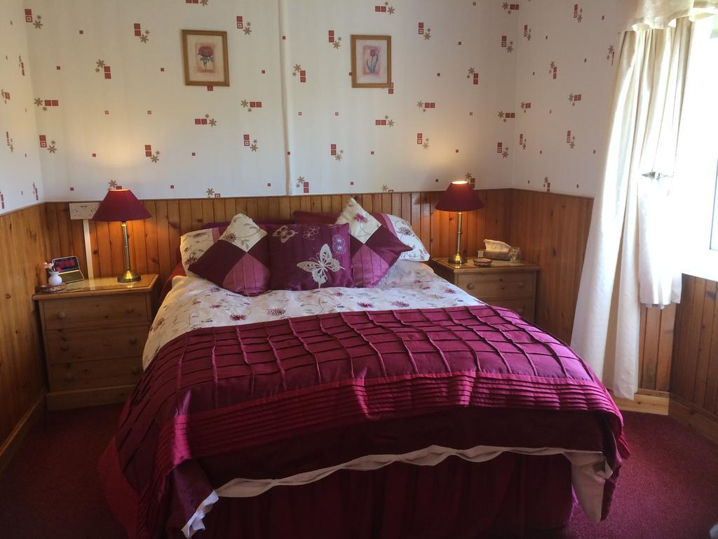 Rhiwiau Guesthouse スランバイルベハン エクステリア 写真